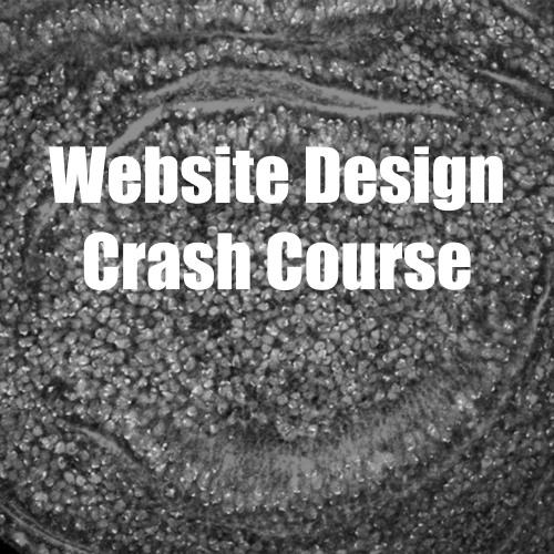 Website Design Crash Course